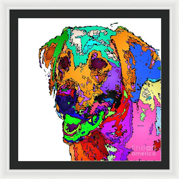 Framed Print - Want To Go For A Walk. Pet Series