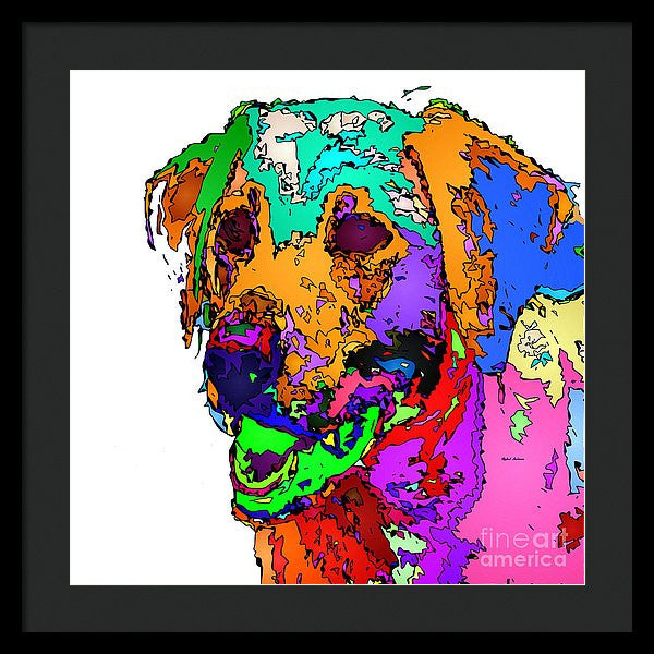 Framed Print - Want To Go For A Walk. Pet Series