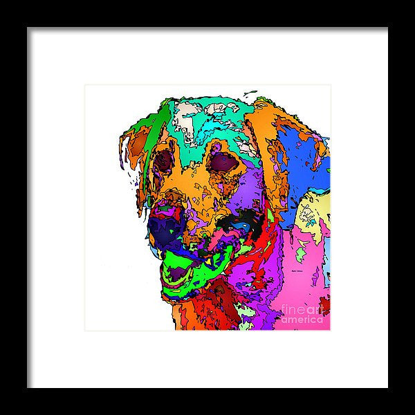 Framed Print - Want To Go For A Walk. Pet Series