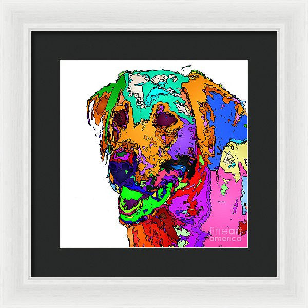 Framed Print - Want To Go For A Walk. Pet Series