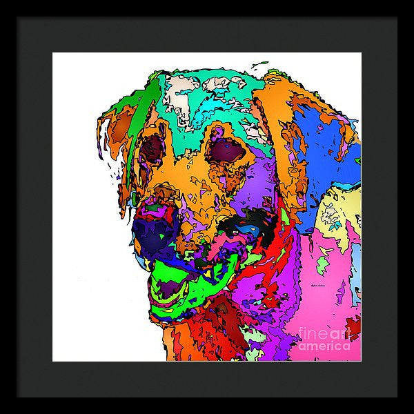 Framed Print - Want To Go For A Walk. Pet Series