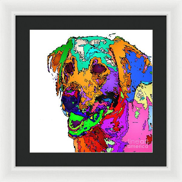 Framed Print - Want To Go For A Walk. Pet Series