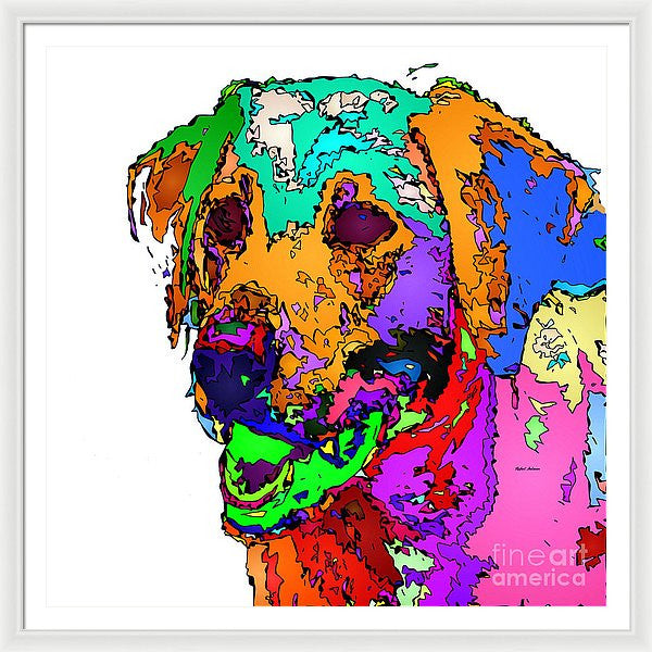 Framed Print - Want To Go For A Walk. Pet Series