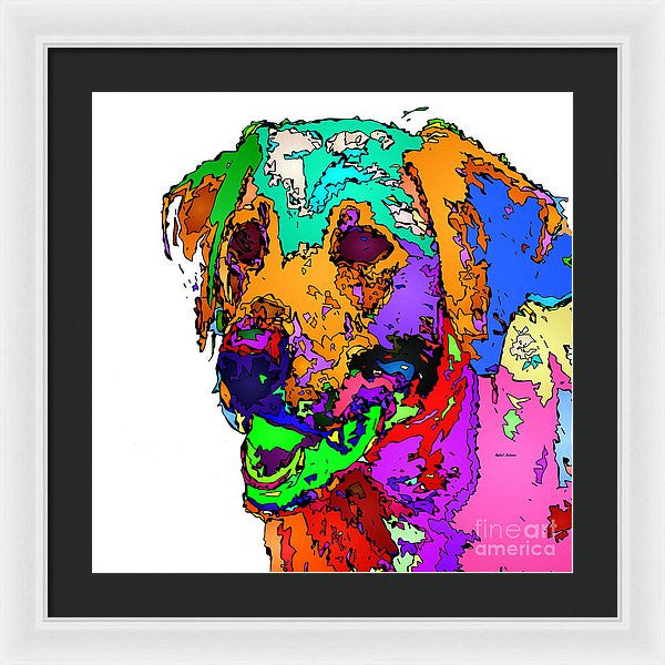 Framed Print - Want To Go For A Walk. Pet Series