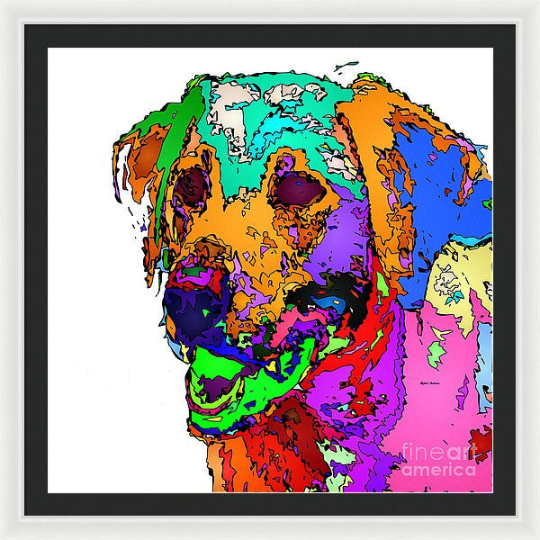 Framed Print - Want To Go For A Walk. Pet Series