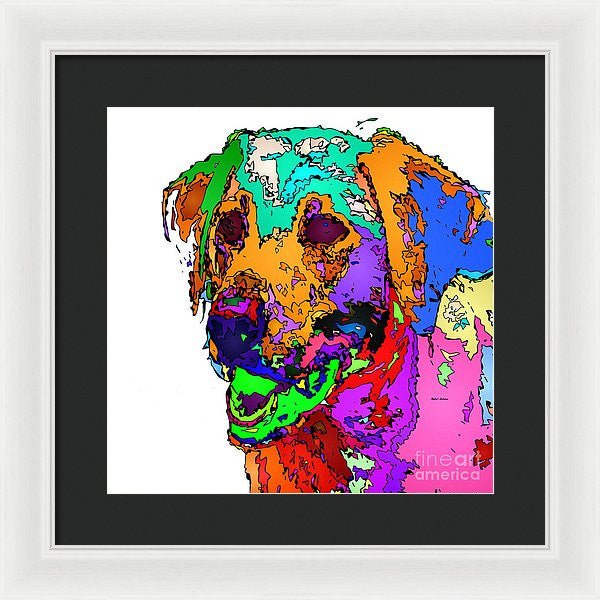 Framed Print - Want To Go For A Walk. Pet Series