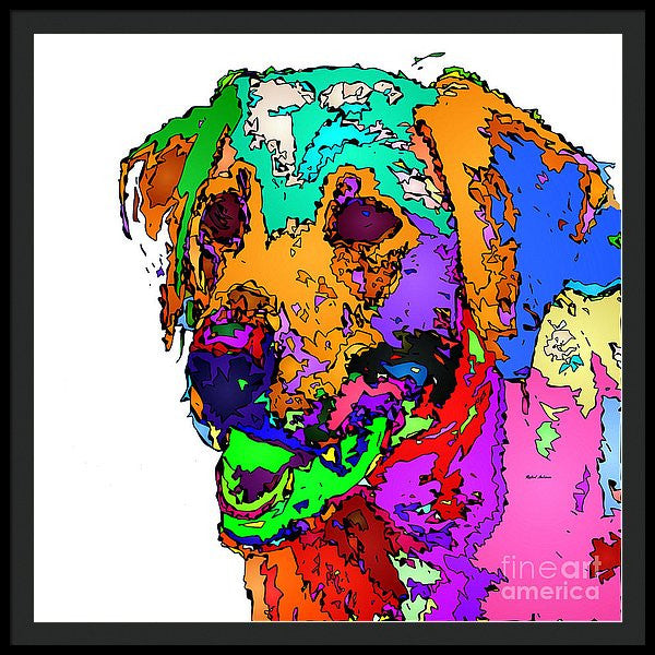 Framed Print - Want To Go For A Walk. Pet Series