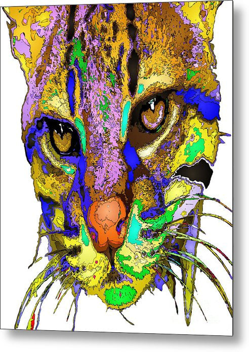 Metal Print - Whiskers. Pet Series