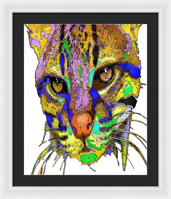 Framed Print - Whiskers. Pet Series