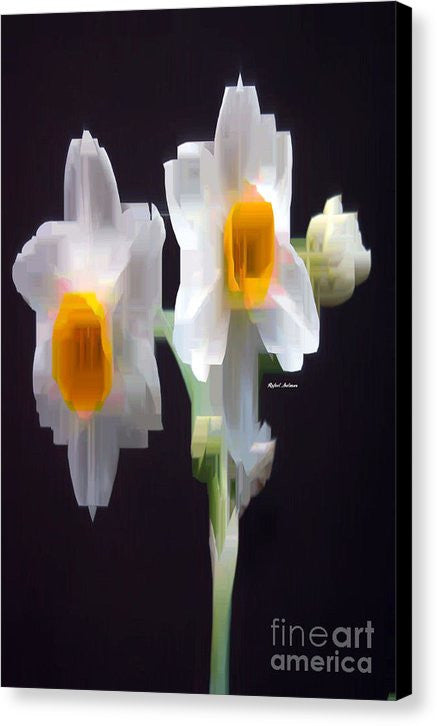 Impression sur toile - Fleur blanche et jaune