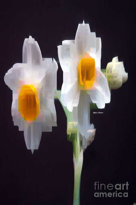 Art Print - White And Yellow Flower