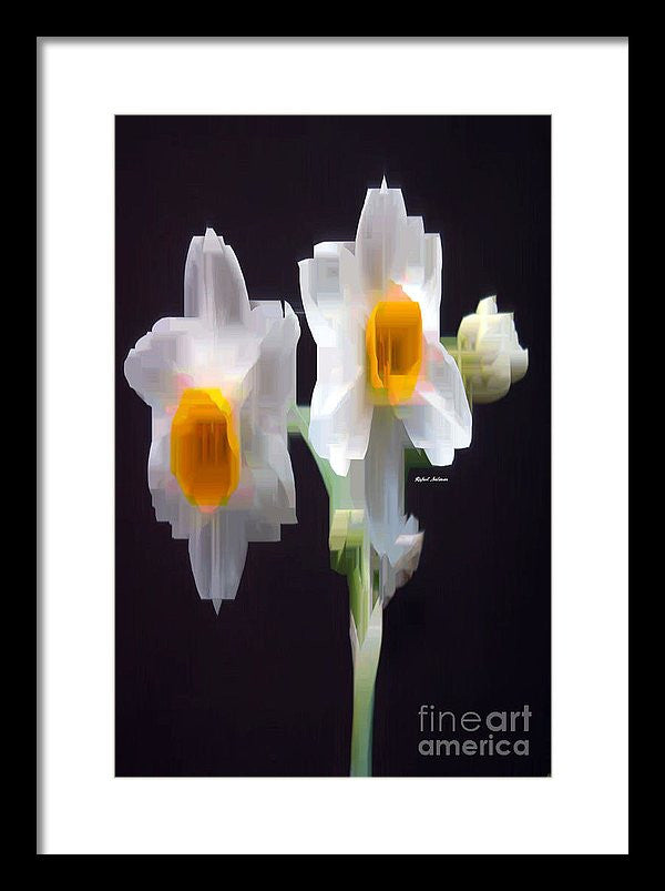 Framed Print - White And Yellow Flower