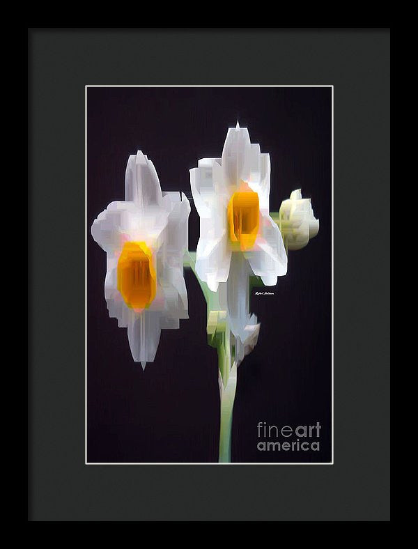 Framed Print - White And Yellow Flower