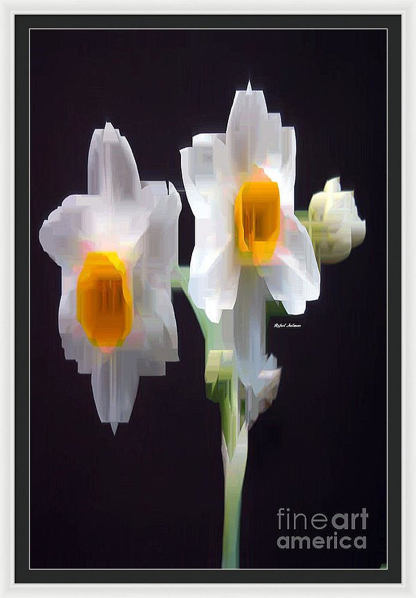 Framed Print - White And Yellow Flower