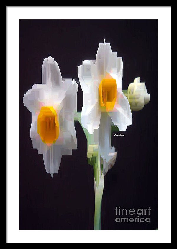 Framed Print - White And Yellow Flower