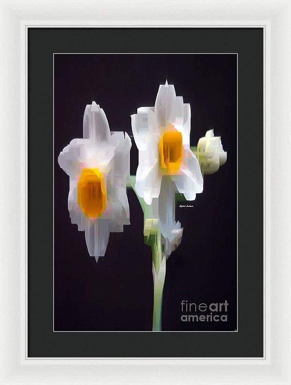 Framed Print - White And Yellow Flower