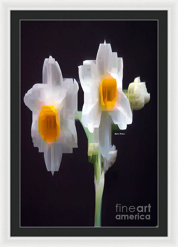 Framed Print - White And Yellow Flower