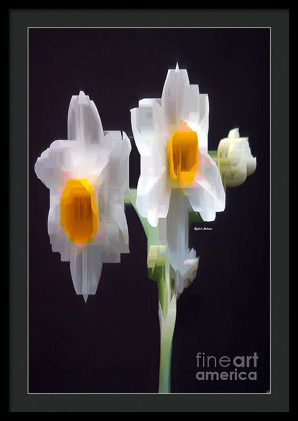 Framed Print - White And Yellow Flower