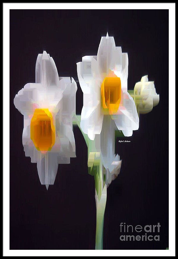 Framed Print - White And Yellow Flower