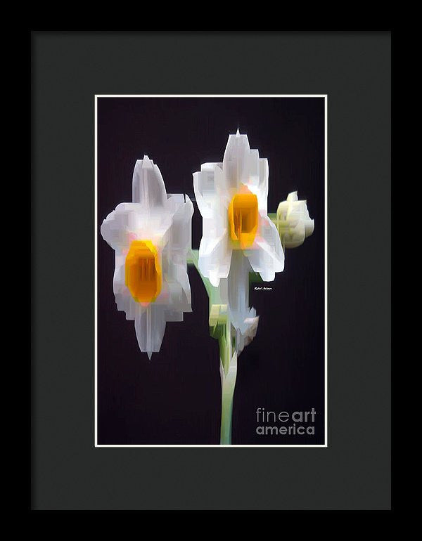 Framed Print - White And Yellow Flower