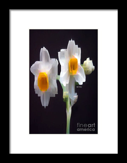 Framed Print - White And Yellow Flower