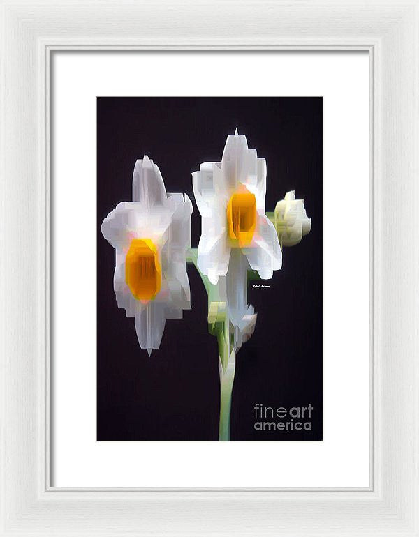 Framed Print - White And Yellow Flower