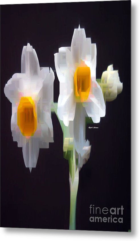 Metal Print - White And Yellow Flower