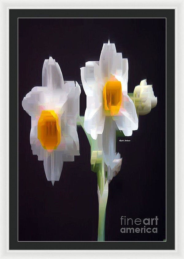 Framed Print - White And Yellow Flower