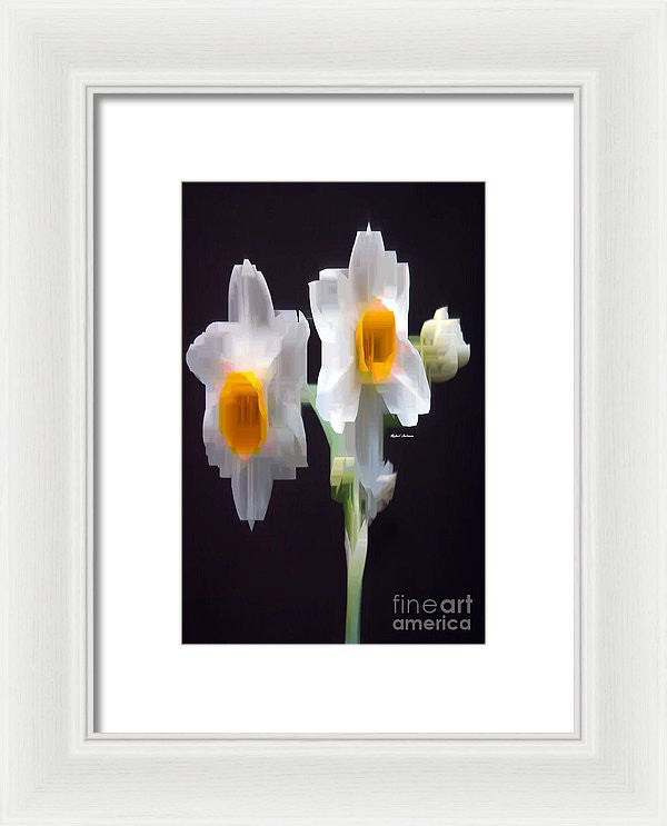 Framed Print - White And Yellow Flower