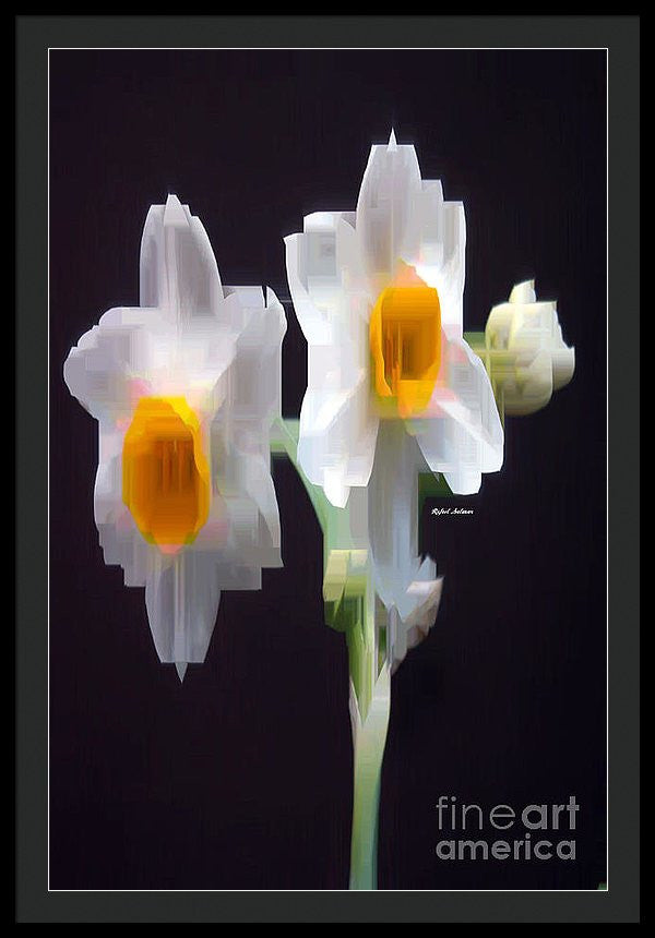 Framed Print - White And Yellow Flower