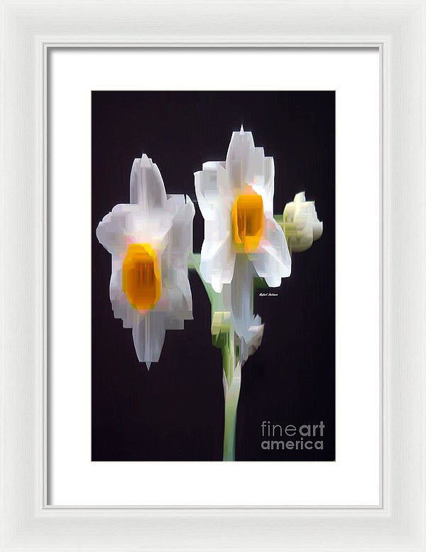 Framed Print - White And Yellow Flower