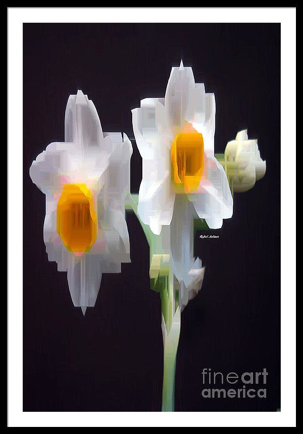 Framed Print - White And Yellow Flower