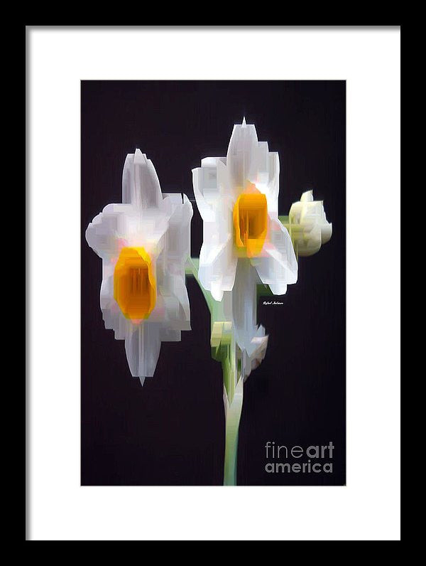 Framed Print - White And Yellow Flower