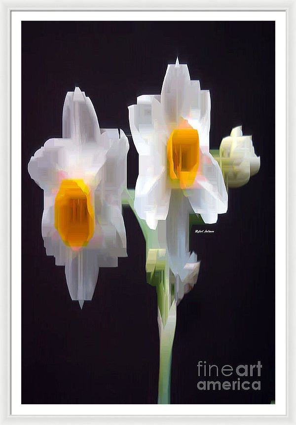 Framed Print - White And Yellow Flower