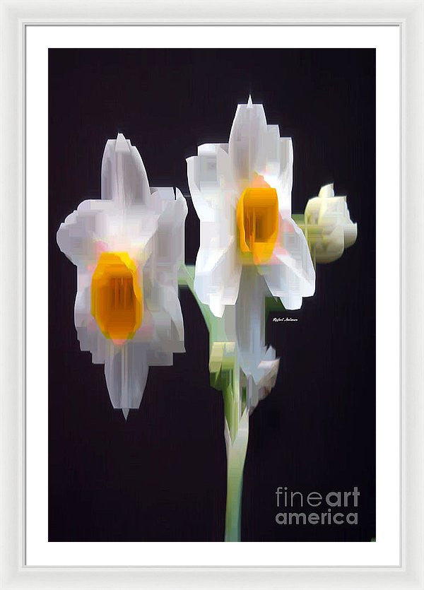 Framed Print - White And Yellow Flower