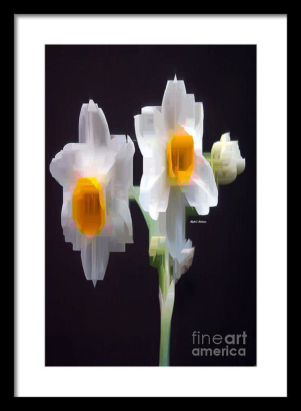 Framed Print - White And Yellow Flower