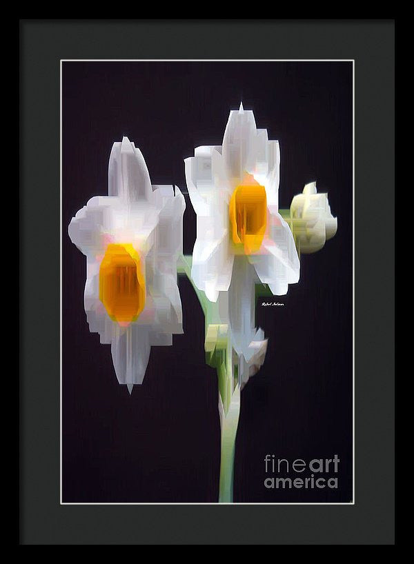 Framed Print - White And Yellow Flower