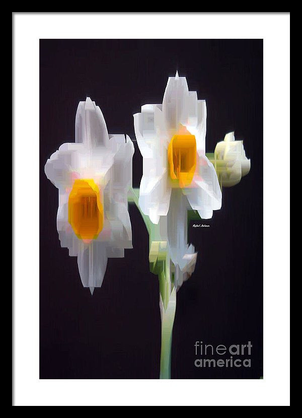 Framed Print - White And Yellow Flower