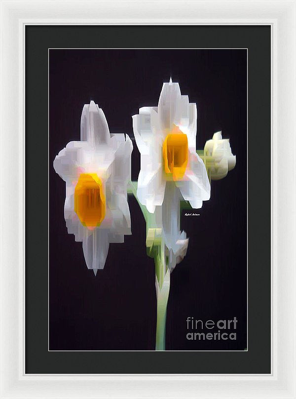 Framed Print - White And Yellow Flower