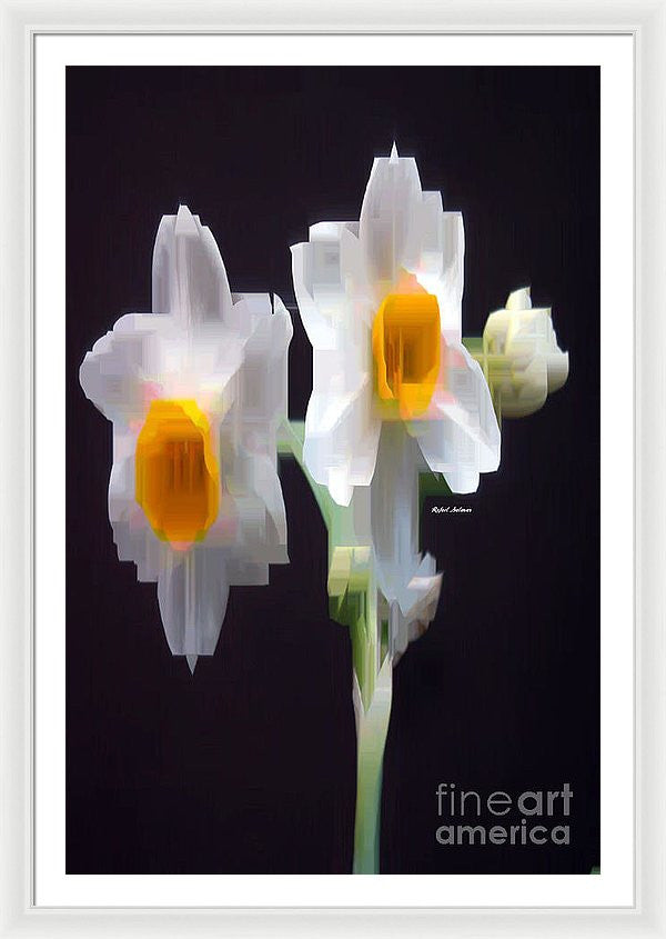 Framed Print - White And Yellow Flower