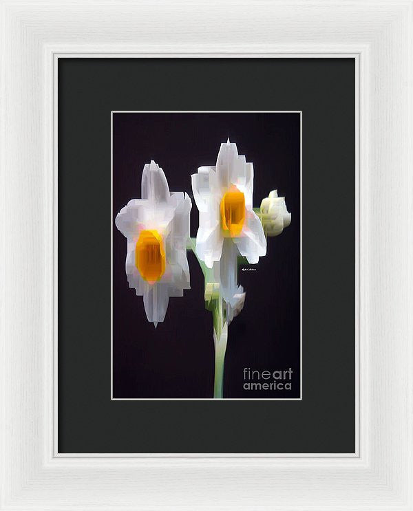 Framed Print - White And Yellow Flower