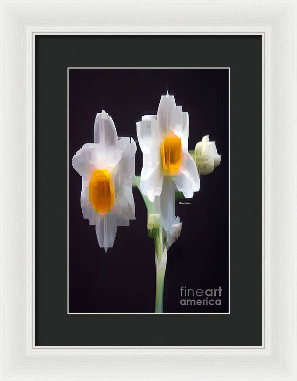 Framed Print - White And Yellow Flower