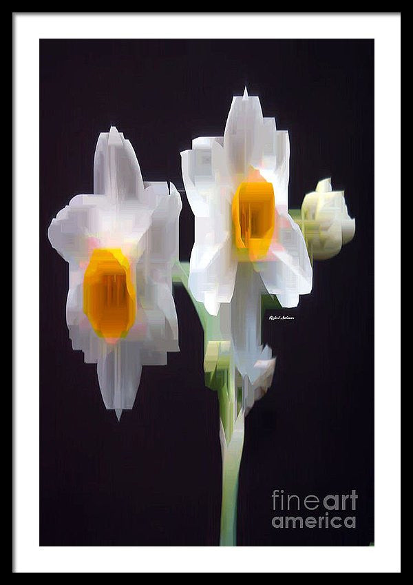 Framed Print - White And Yellow Flower