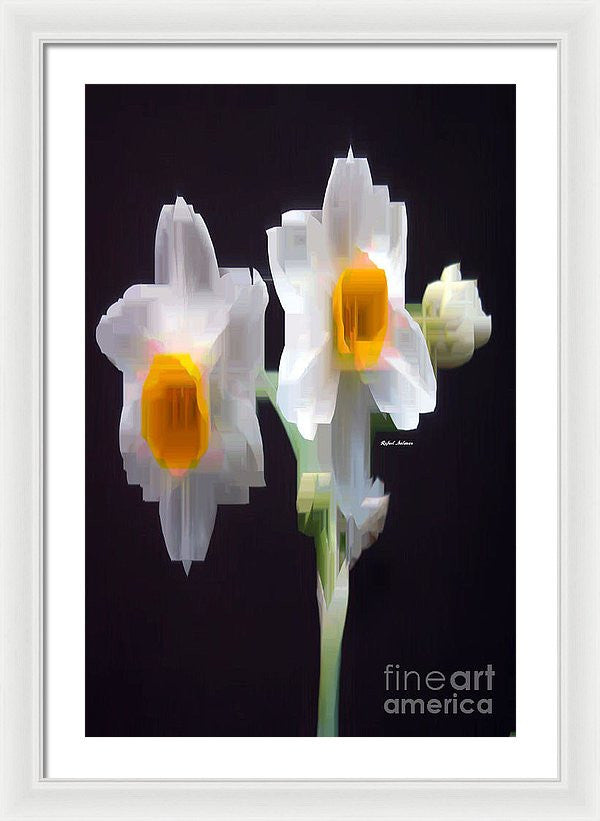 Framed Print - White And Yellow Flower