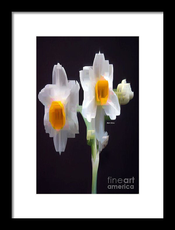 Framed Print - White And Yellow Flower