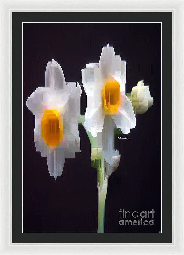 Framed Print - White And Yellow Flower