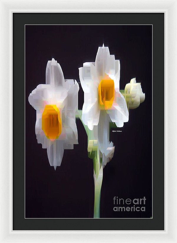 Framed Print - White And Yellow Flower