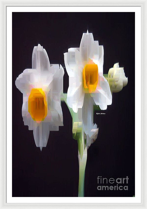 Framed Print - White And Yellow Flower