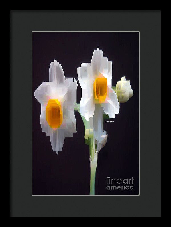 Framed Print - White And Yellow Flower