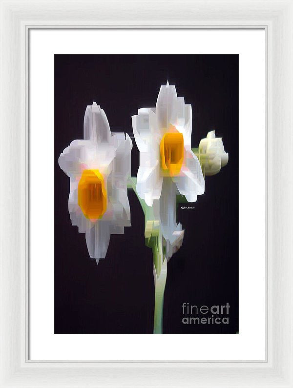 Framed Print - White And Yellow Flower